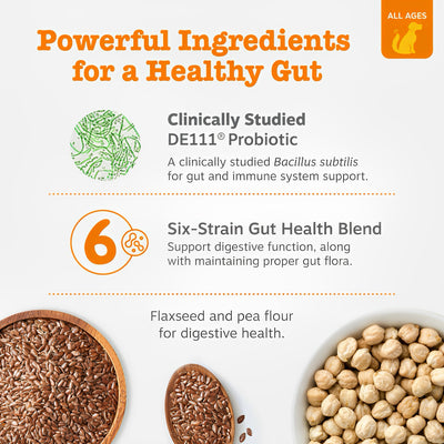 Probiotic Bites - Better Digestion, Healthier Skin, Happier Dogs