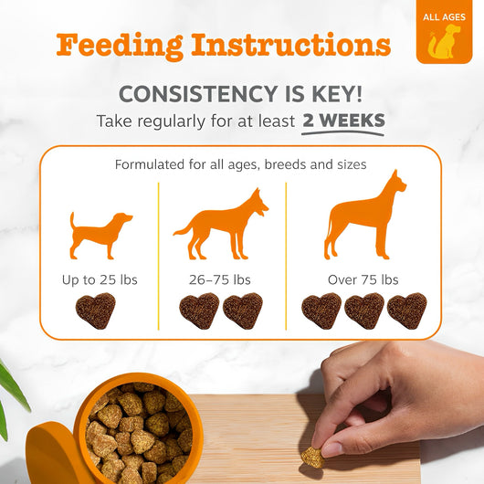 Probiotic Bites - Better Digestion, Healthier Skin, Happier Dogs