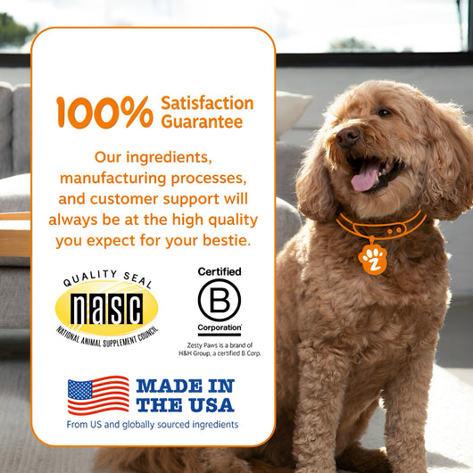 Probiotic Bites - Better Digestion, Healthier Skin, Happier Dogs