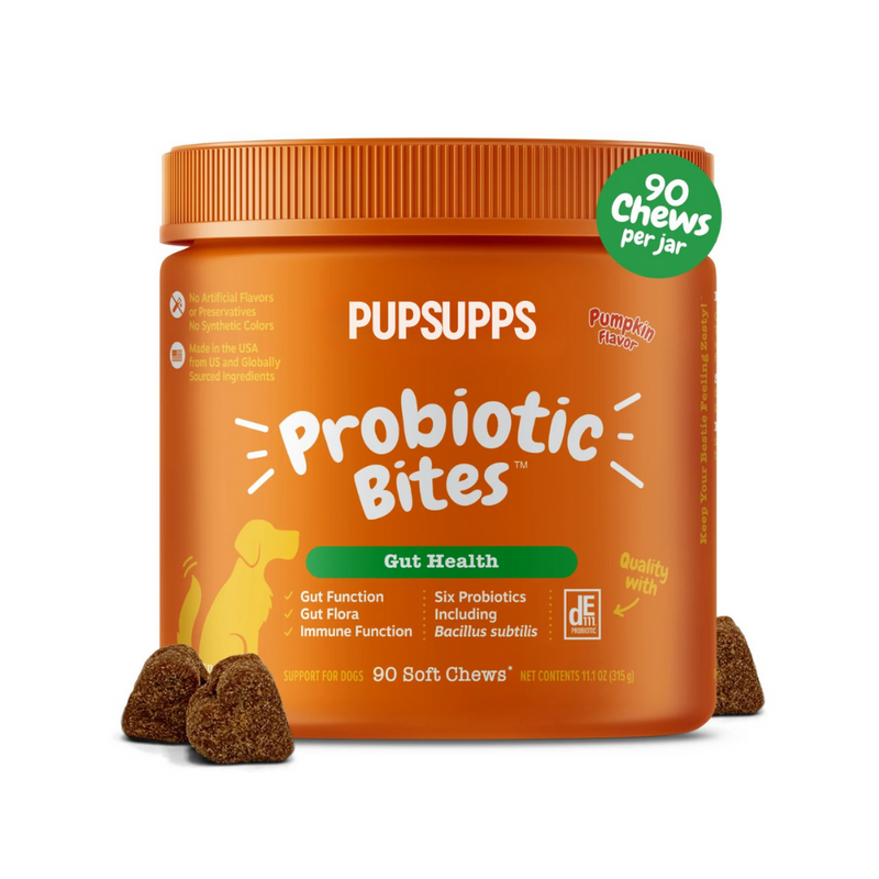 Vet-Approved Chews for a Healthy Gut