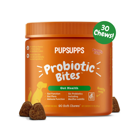 Probiotic Bites - Better Digestion, Healthier Skin, Happier Dogs